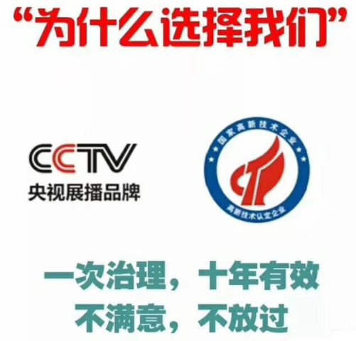 除甲醛公司如何選擇？
