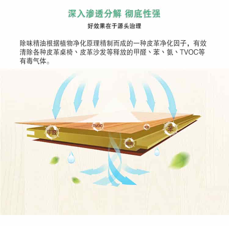 深入滲透分解 徹底性強(qiáng)，好效果在于源頭治理，除味精油根據(jù)植物凈化原理精制而成的一種皮革凈化因子，有效清除各種皮革桌椅丶皮革沙發(fā)等釋放的甲醛丶苯丶氨丶TVOC等 有毒氣體。
