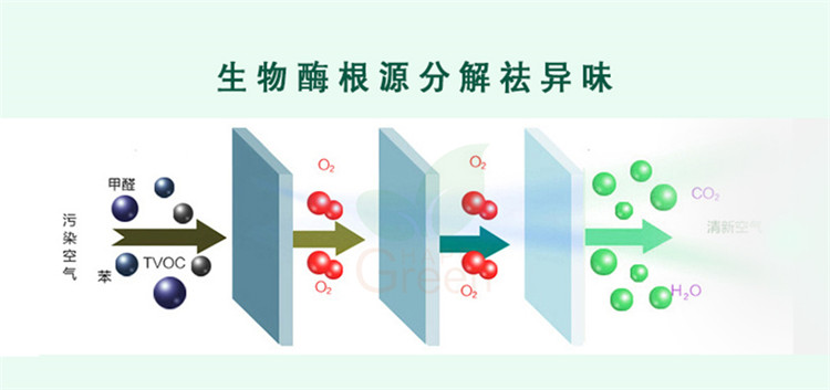 自由呼吸 是美好生活的開始 第三代格瑞樂綠快光催化植物生物觸媒 母嬰安全級，專注于室內空氣污染治理 除醛除味 綜合治理倡導者 踐行者 一站式服務除甲醛 嚴謹的態(tài)度 可靠的技術 自然的理念 貼心的服務 安全品質 值得信賴 甲醛的三大危害 危害一：長痘、失眠多夢、頭暈、精神不振 危害二：咳嗽/呼吸道難受/哮喘/致癌 危害三：老人小孩抵抗力變差 健康才是真正的快樂