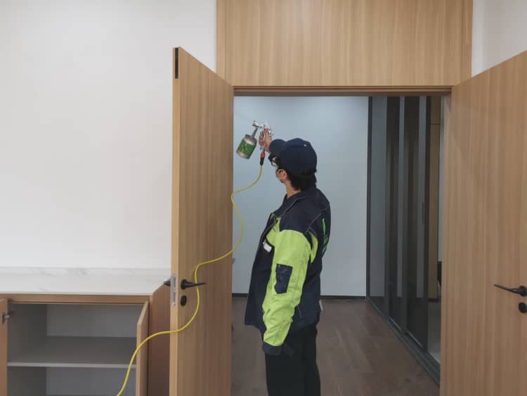 蔡甸除醛花幾多錢？格瑞樂超劃算！