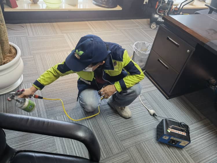 武漢裝修季！跟甲醛過招，這2步讓你不踩坑