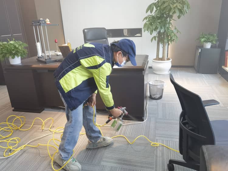 武漢新房除甲醛，這6個笨辦法蠻扎實！省錢又管用